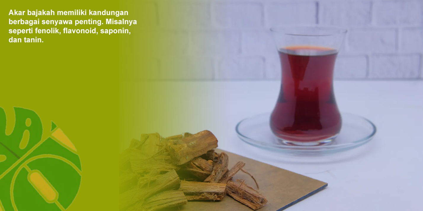 Manfaat Akar Bajakah, Salah Satunya Mencegah Obesitas